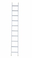 rise-tec-8007-1-part-rung-leaning-ladder-300_(1).jpg